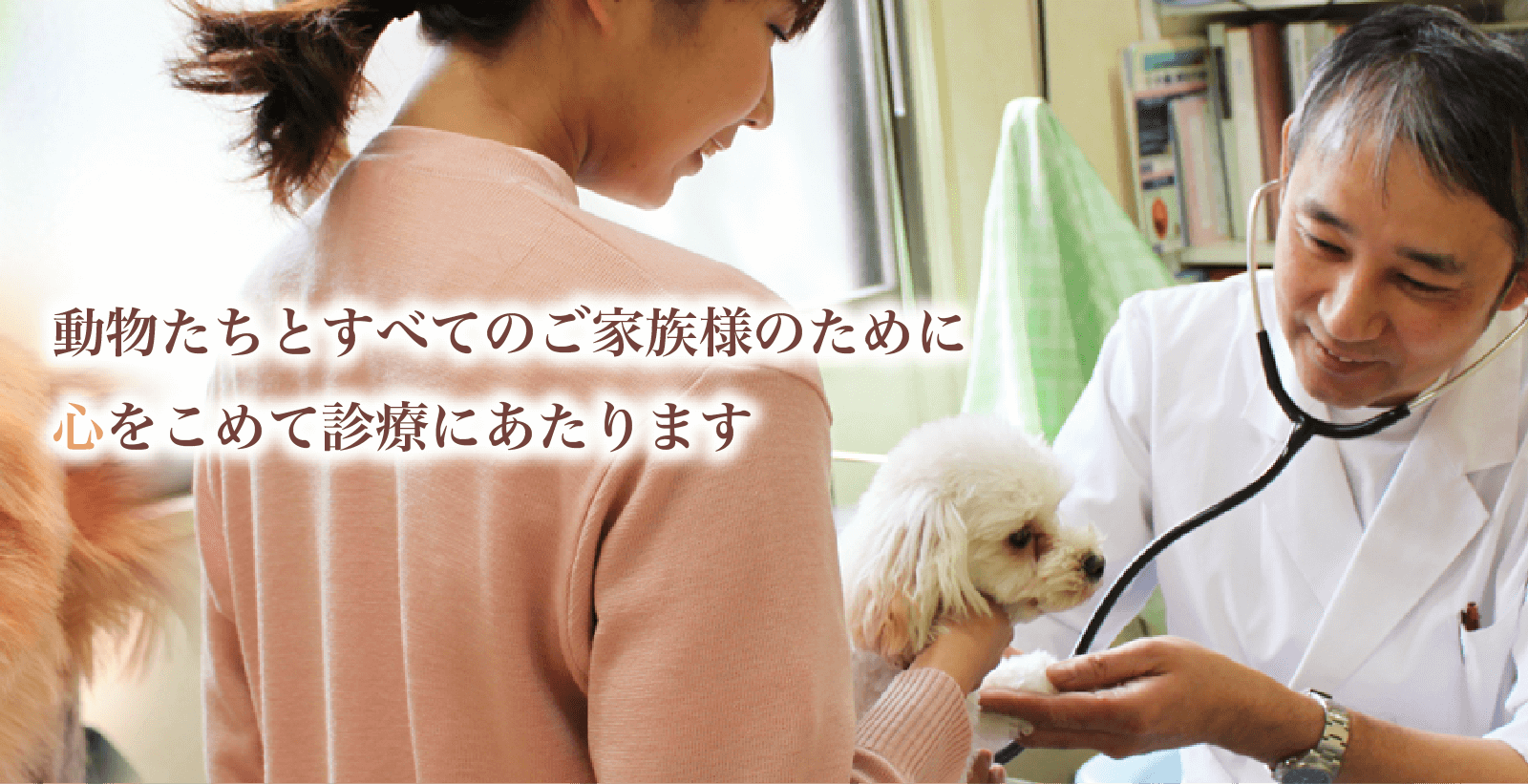 愛知県刈谷市のよこやま動物病院