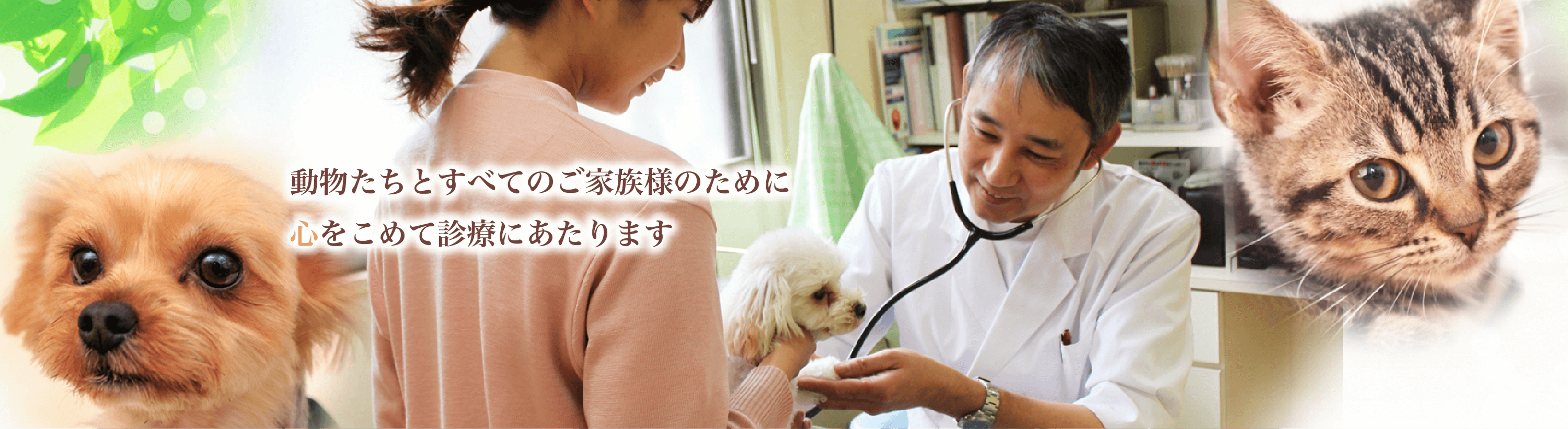 動物たちとすべてのご家族様のために心をこめて診療にあたります